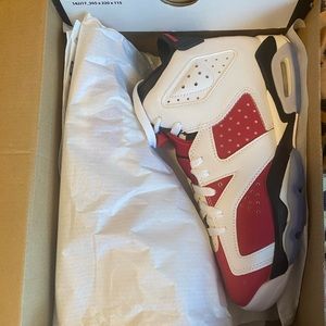Air Jordan Carmine 6s (GS) 6Y